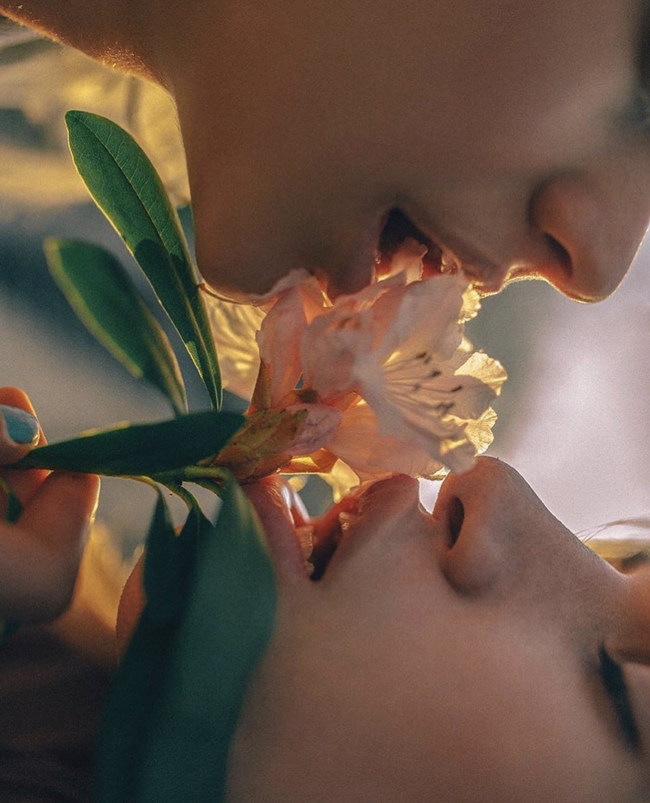 8 Step Guide to Sex After Baby